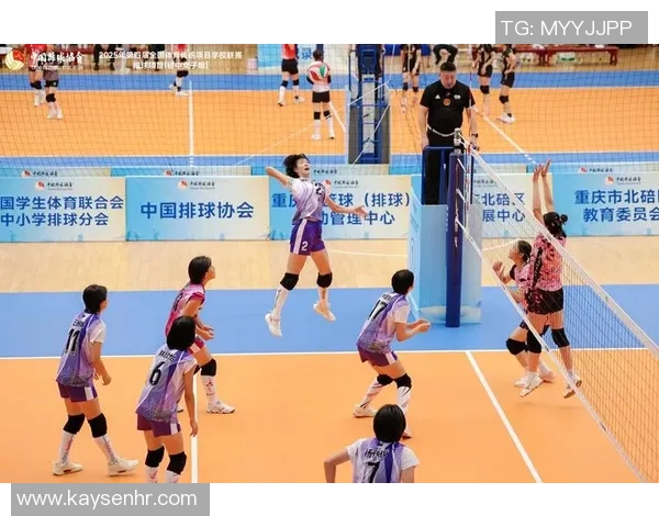 北京排球队与广州排球队的较量分析与战术复盘